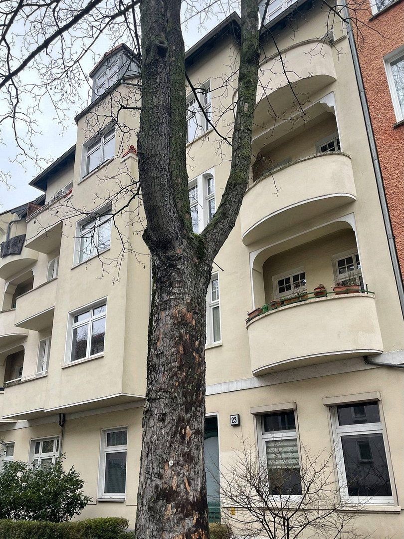 Prodej byt 2+1 - Berlin Oberschöneweide Berlin 12459, 56 m² - 5