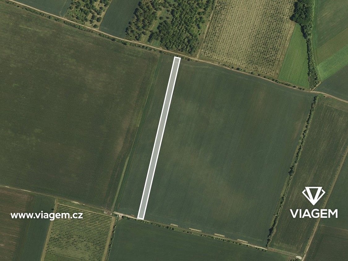 Zemědělské pozemky, Hustopeče, okres Břeclav, Jihomoravský kraj - 2