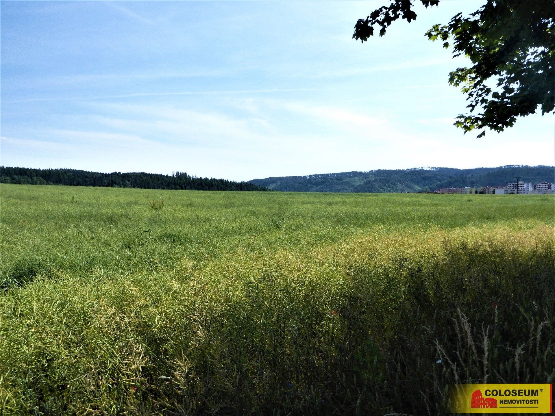 Zemědělský pozemek · Letovice - 4