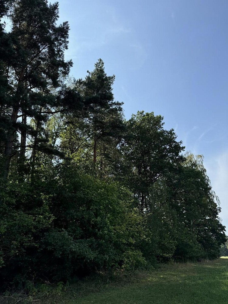 Pozemek · Hradiště - Nýřany - 3