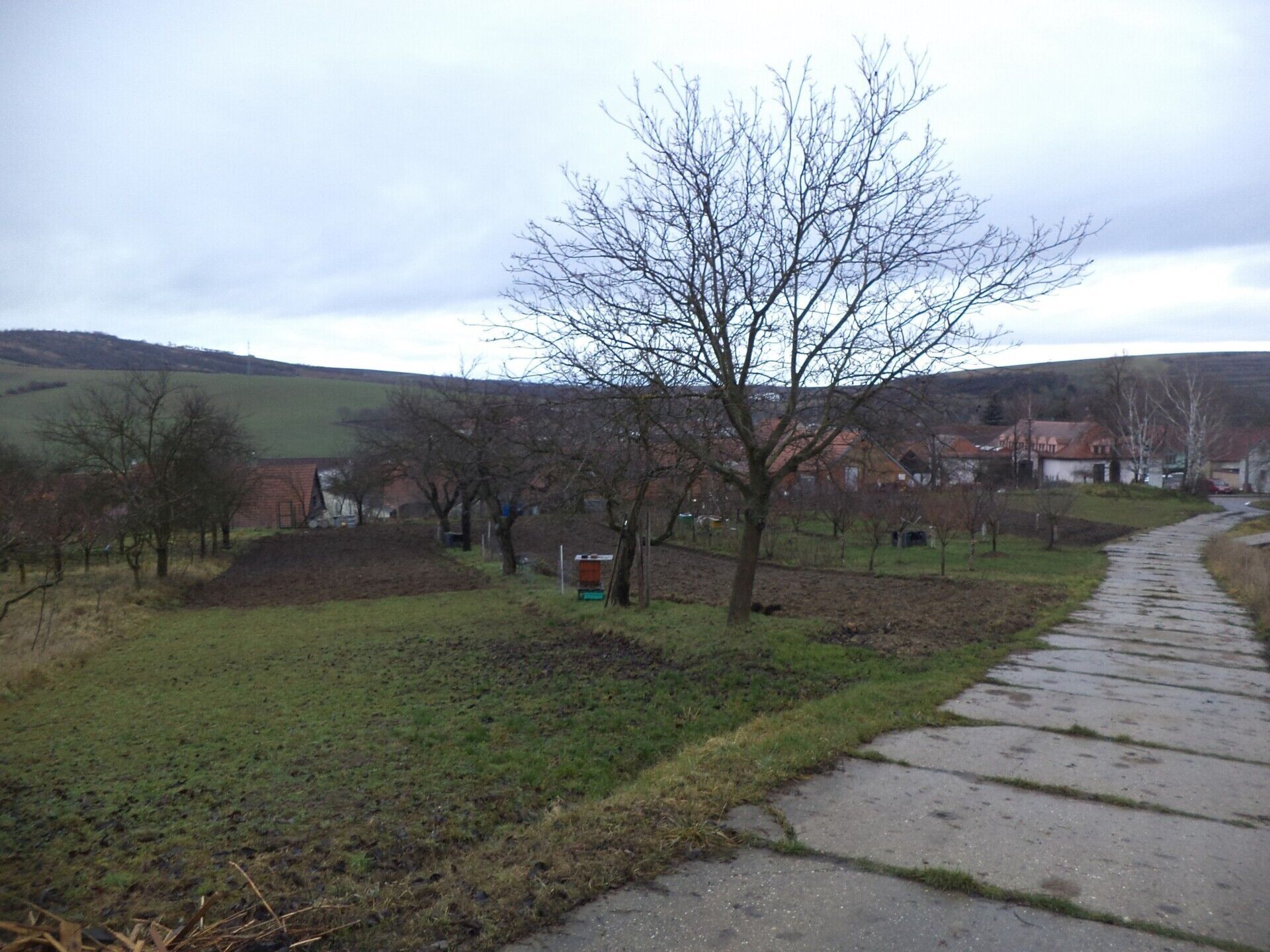 Prodej pozemek - Morkůvky, 6 m²