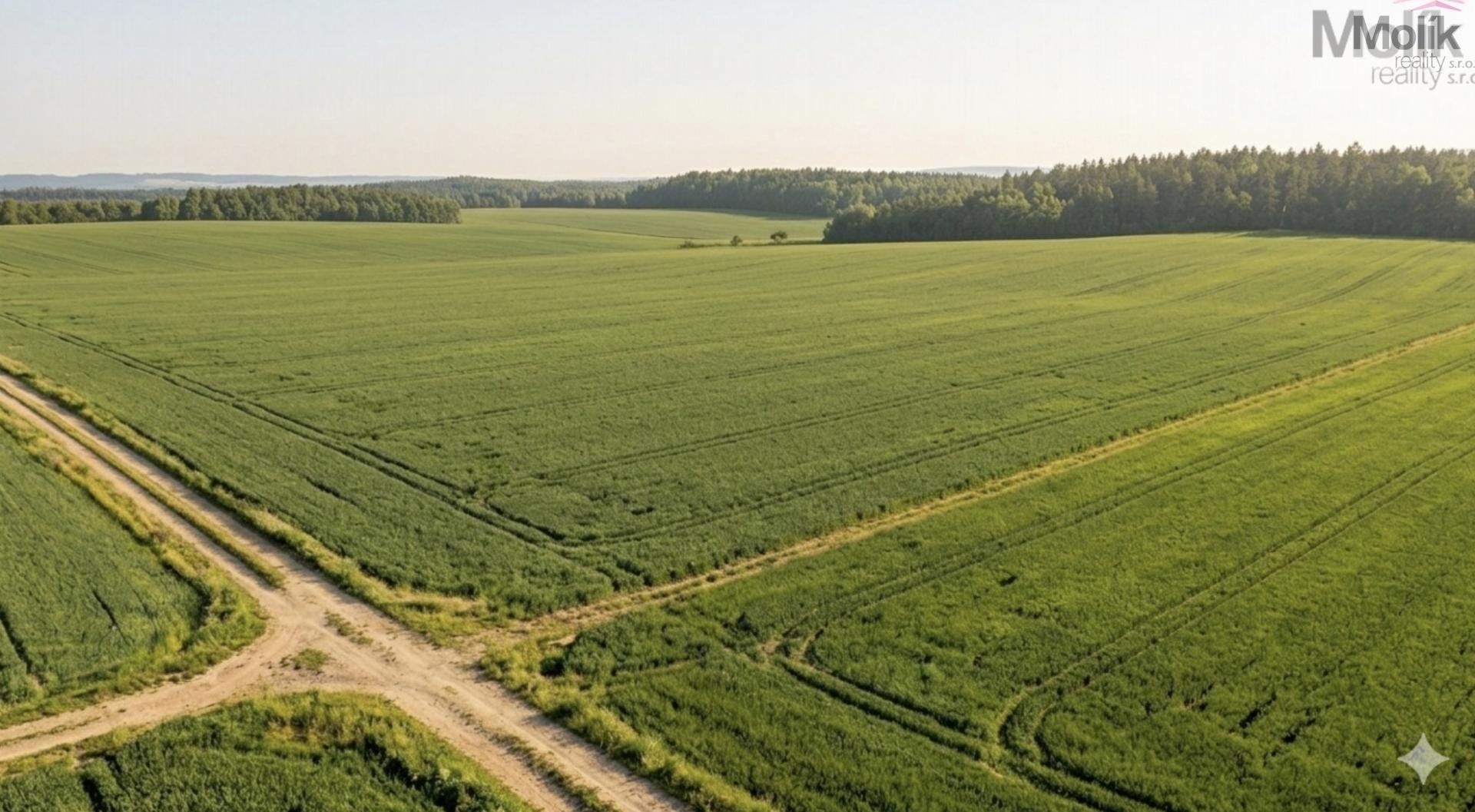 Prodej zemědělský pozemek - Malotice, 3 780 m²