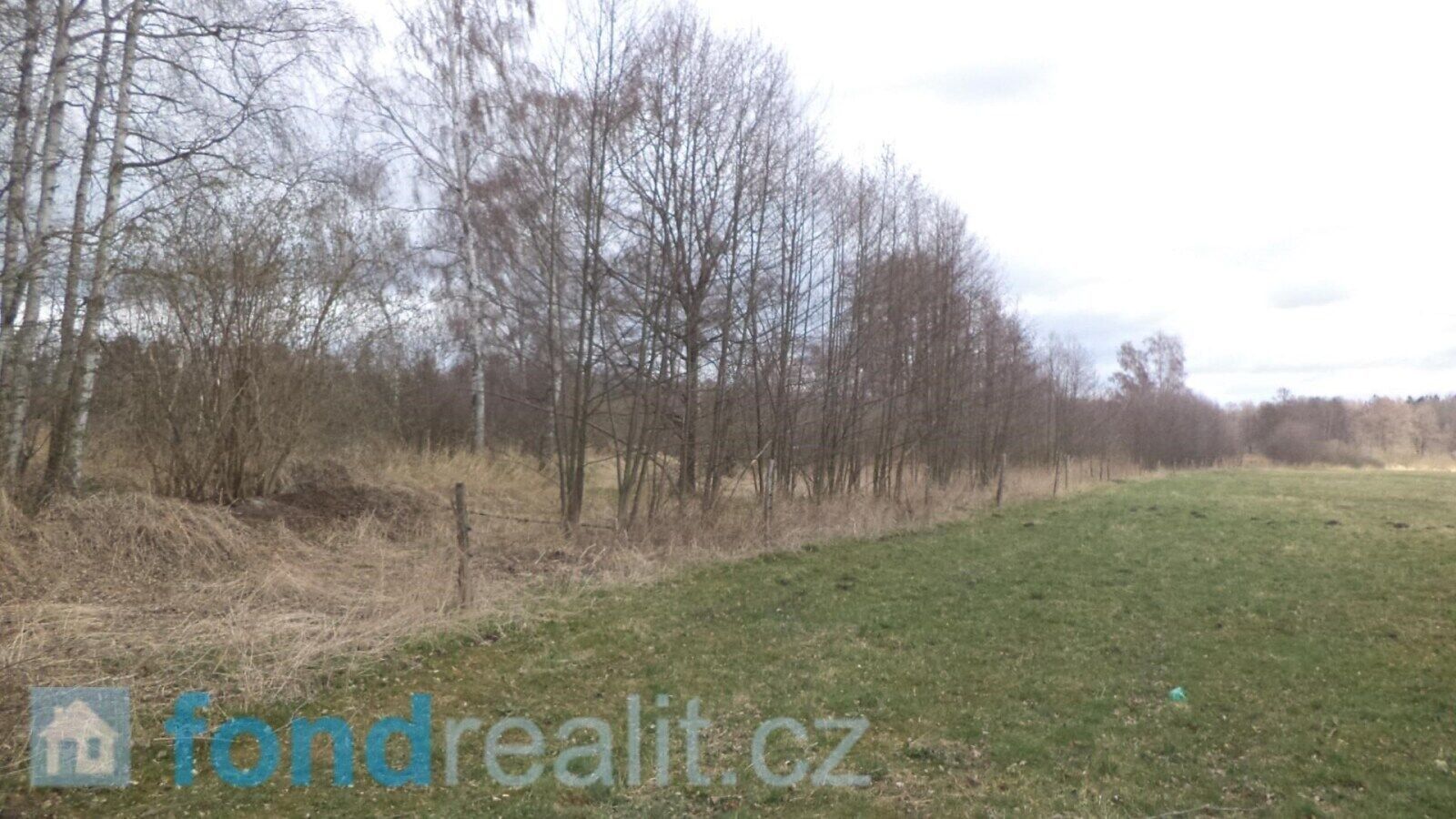Pozemek · 19 035 m² · Chlum u Třeboně Lutová - 3