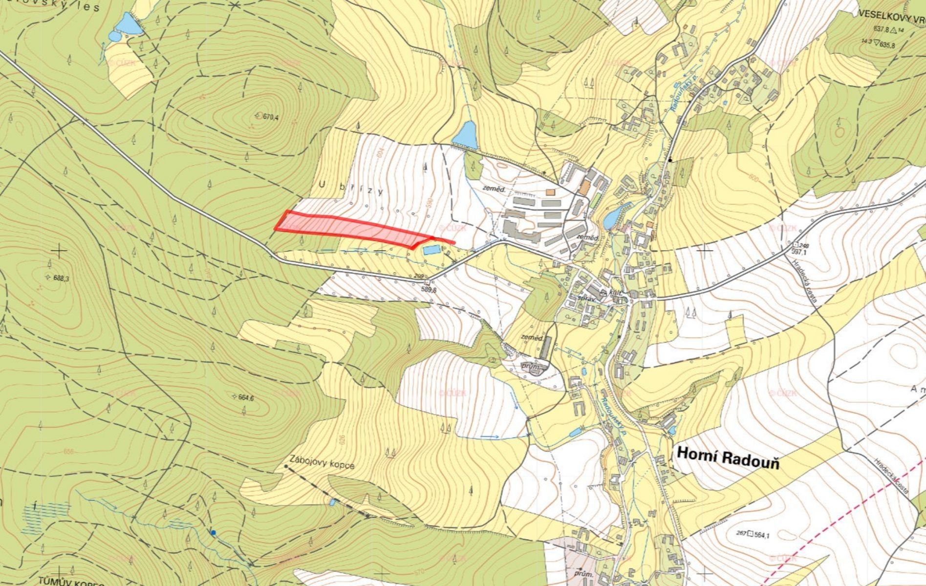 Prodej zemědělský pozemek - Horní Radouň