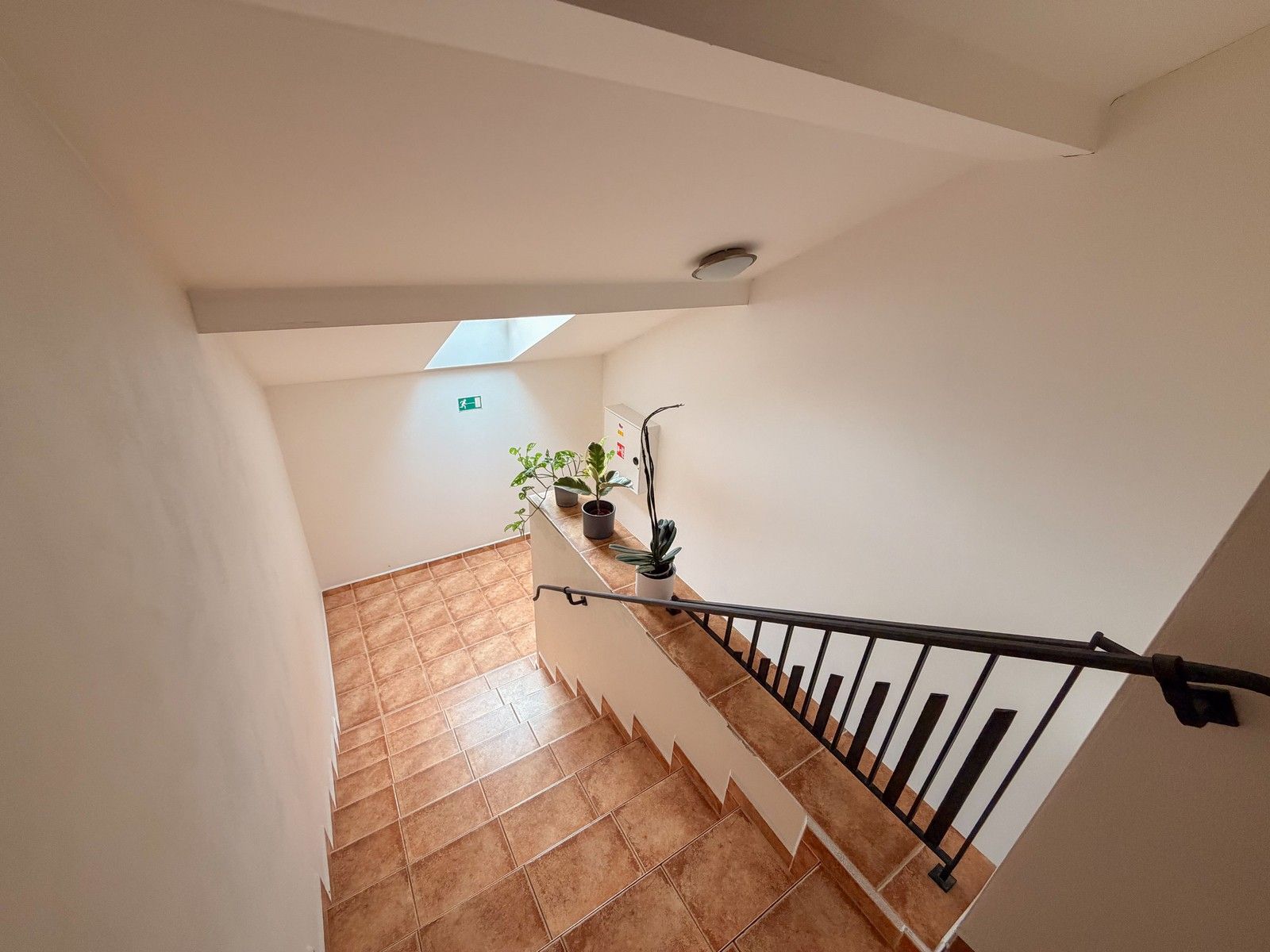 Pronájem byt 2+kk - B. Smetany, České Budějovice, 47 m²