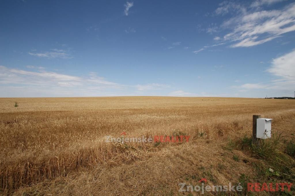 Zemědělský pozemek · Blanné - 4
