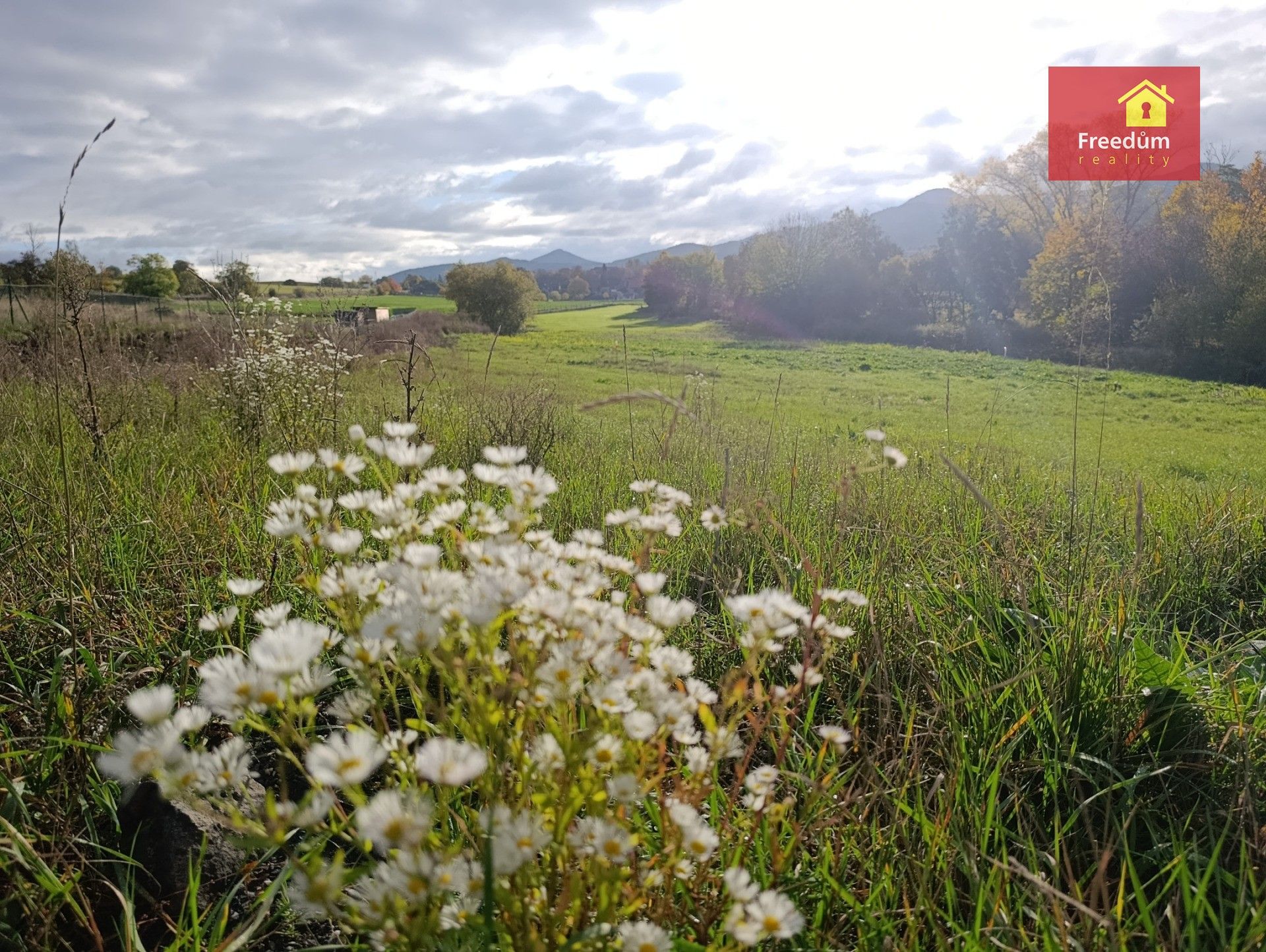 Pozemky pro bydlení, Bžany, 2 m²