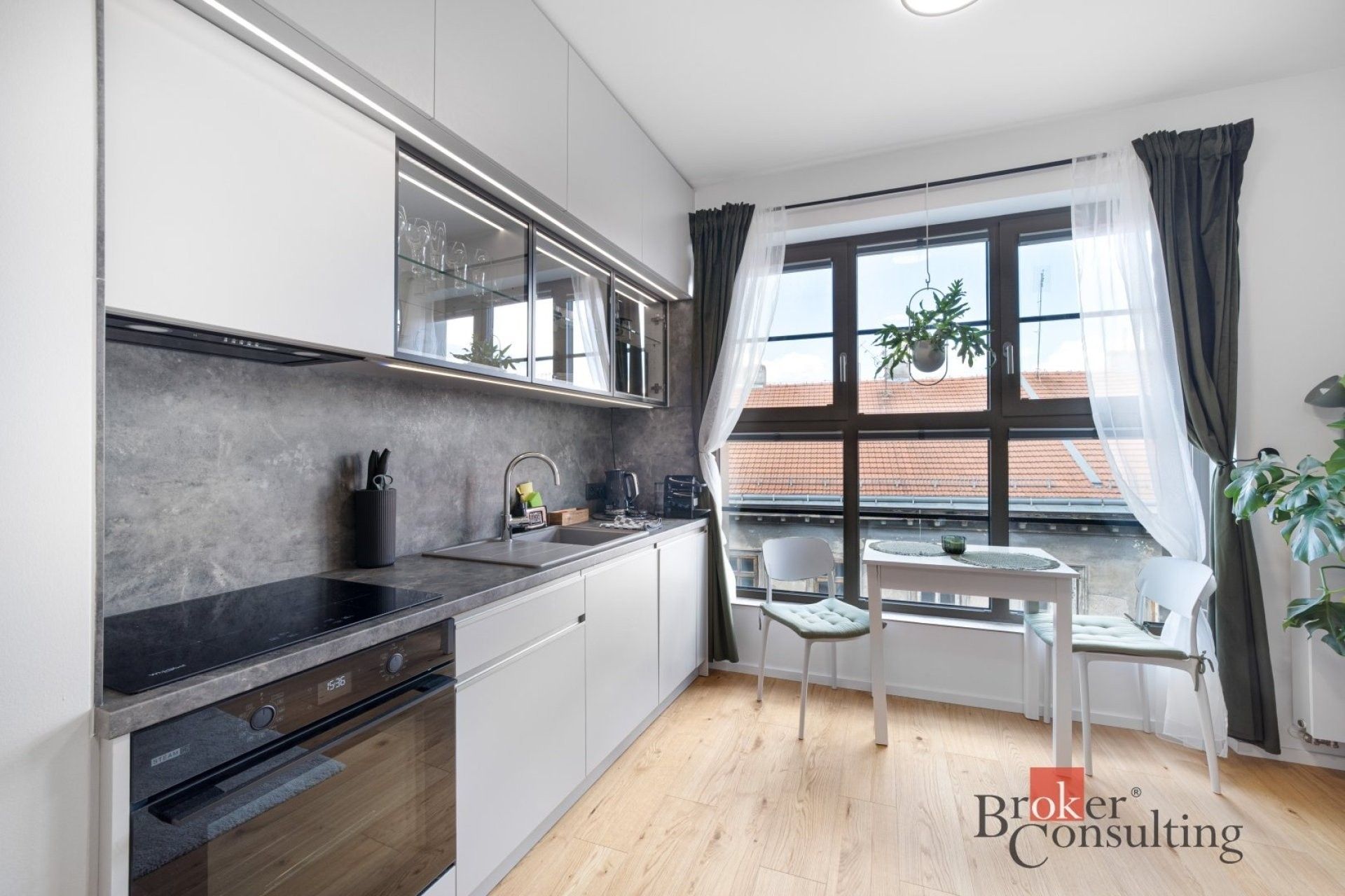 1+kk, Bratislavská, Brno, 24 m² - 1