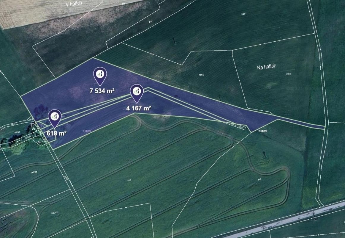 Zemědělské pozemky, Hracholusky, 12 319 m²
