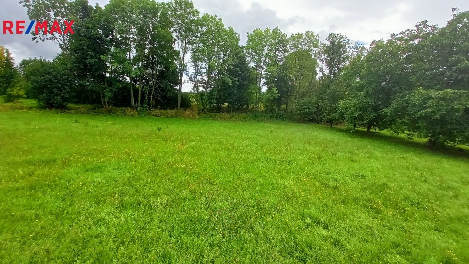 Prodej pozemek pro bydlení - Borotín, 1 m²