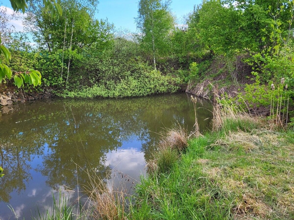 Pozemky pro bydlení, Ostrov nad Ohří, 363 01