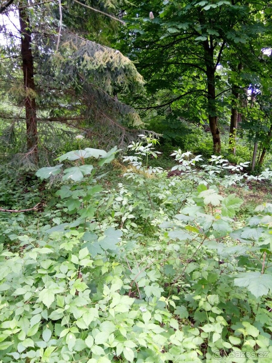 Pozemek pro bydlení · Břidličná, 793 51 - 4