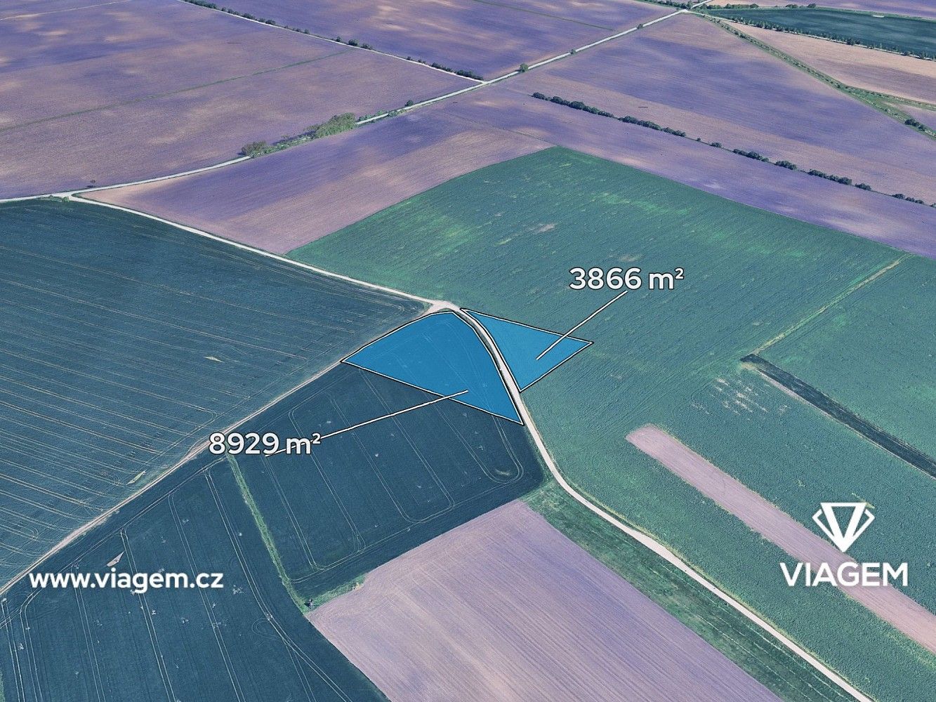 Zemědělské pozemky, Velké Němčice, okres Břeclav, Jihomoravský kraj - 1