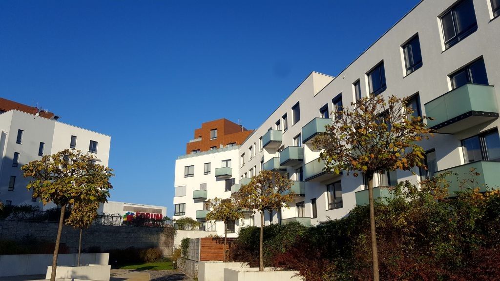 4+1, K Šalomounu, Moravská Ostrava a Přívoz, 174 m²