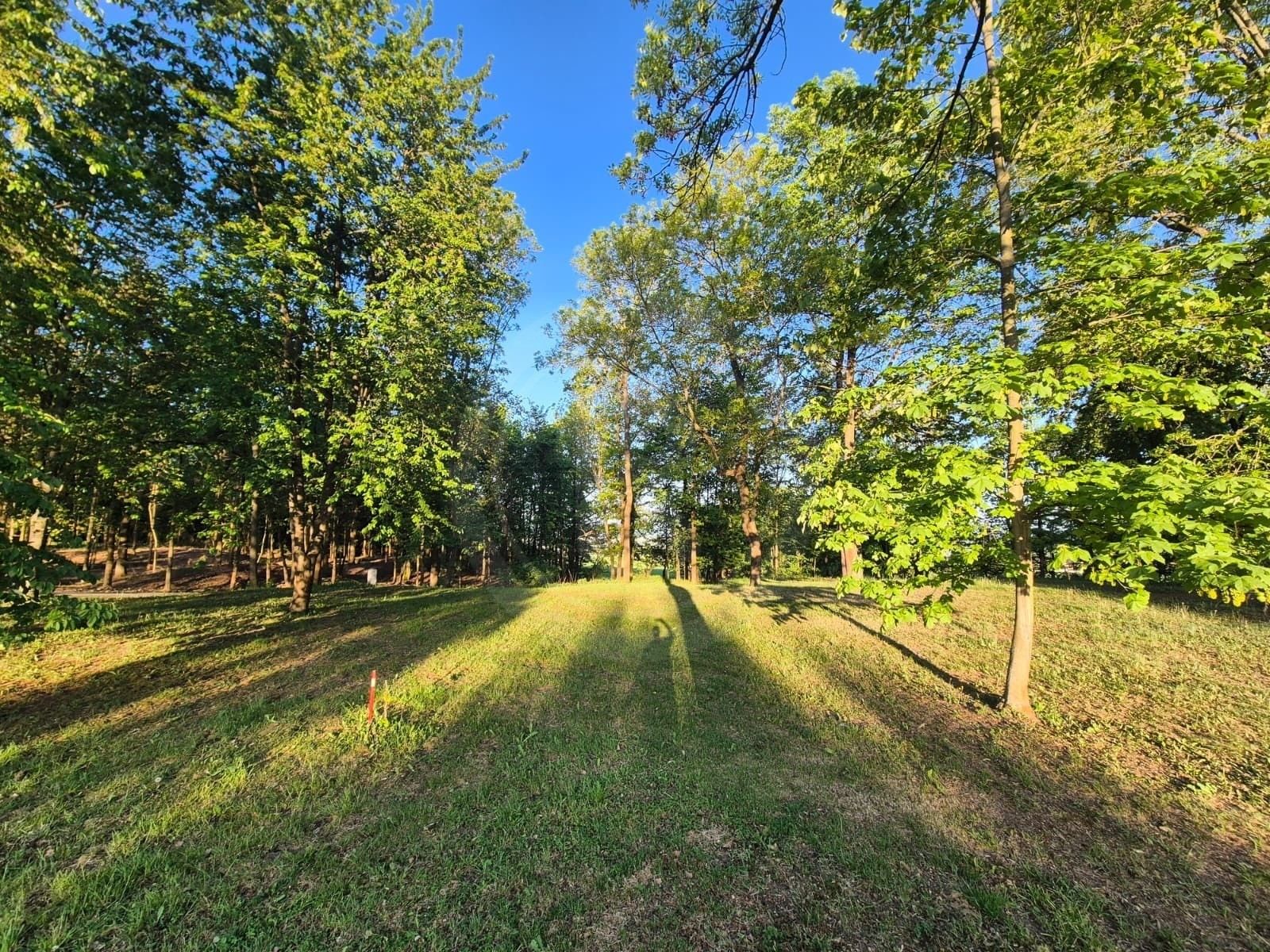 Prodej pozemek pro bydlení - Libníč, 1 980 m² - 5