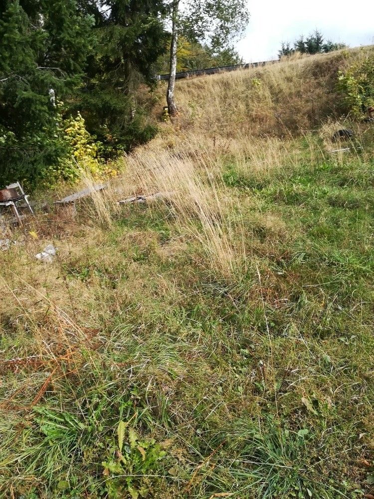 Prodej pozemek pro bydlení - Desná v Jizerských horách, 468 61