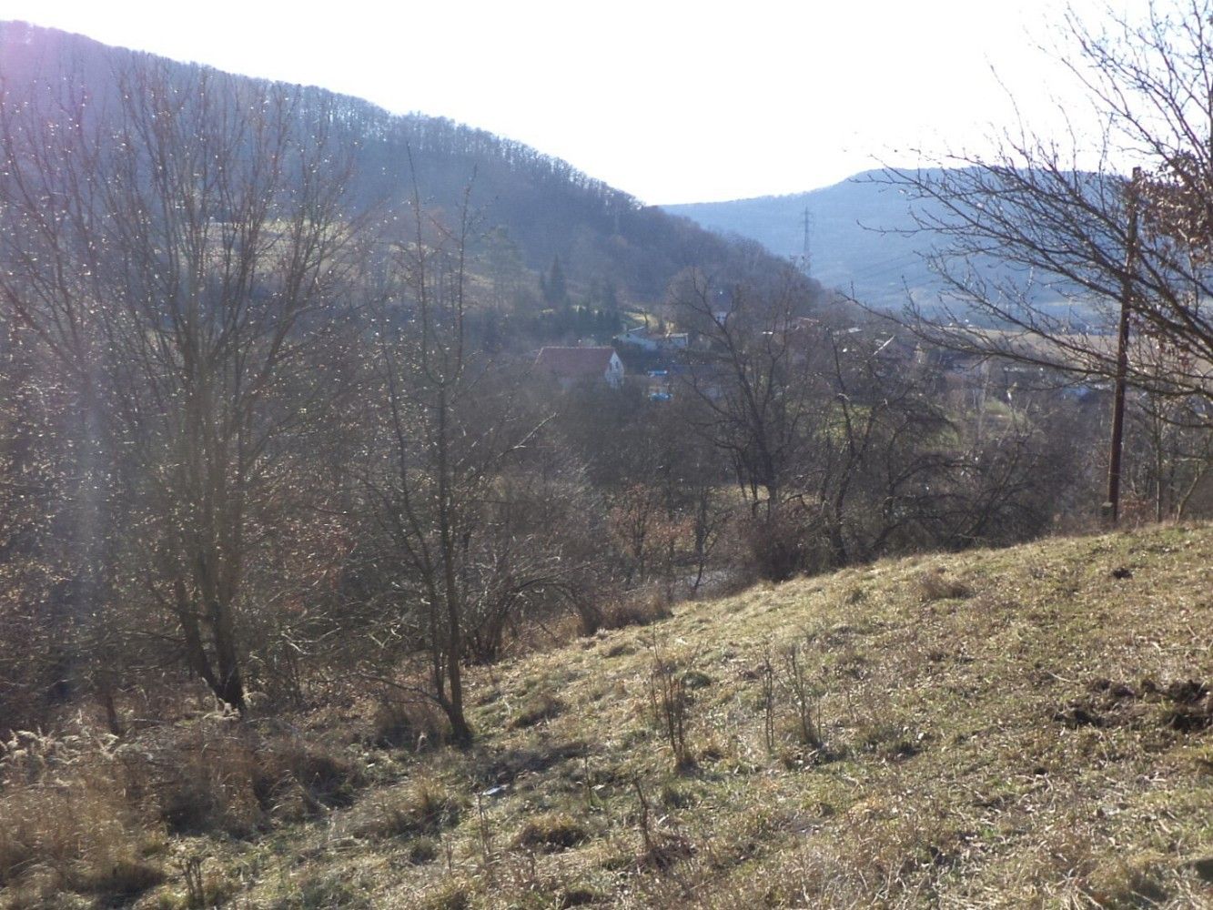 Zahrada · Trmice, okres Ústí nad Labem, Ústecký kraj - 2