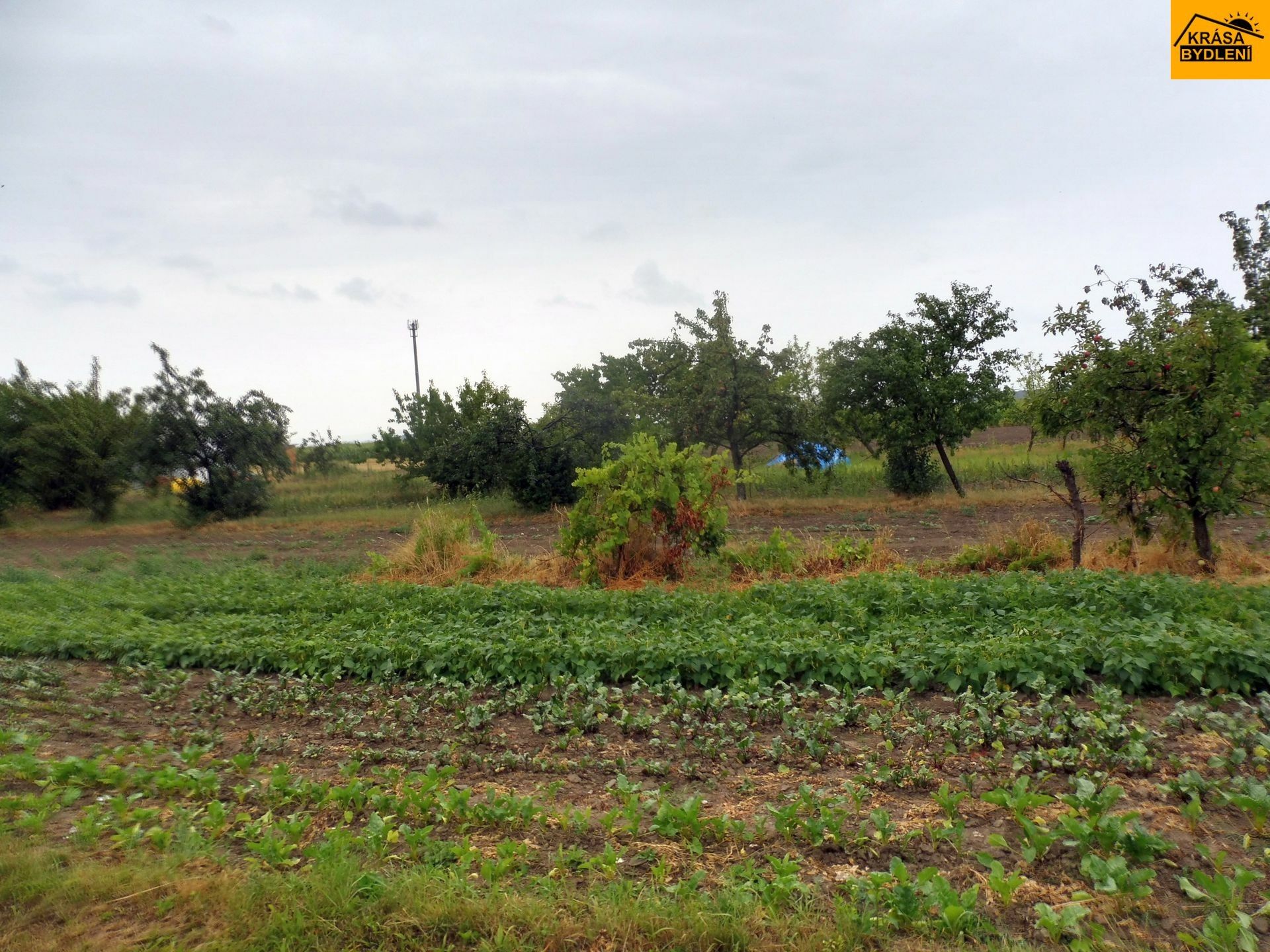 Zemědělské pozemky, Bílovice, Bílovice-Lutotín, 935 m²