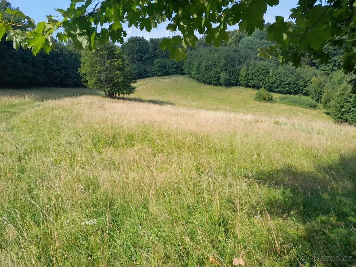 Pozemky pro bydlení, Nový Hrozenkov, 756 04 - 2