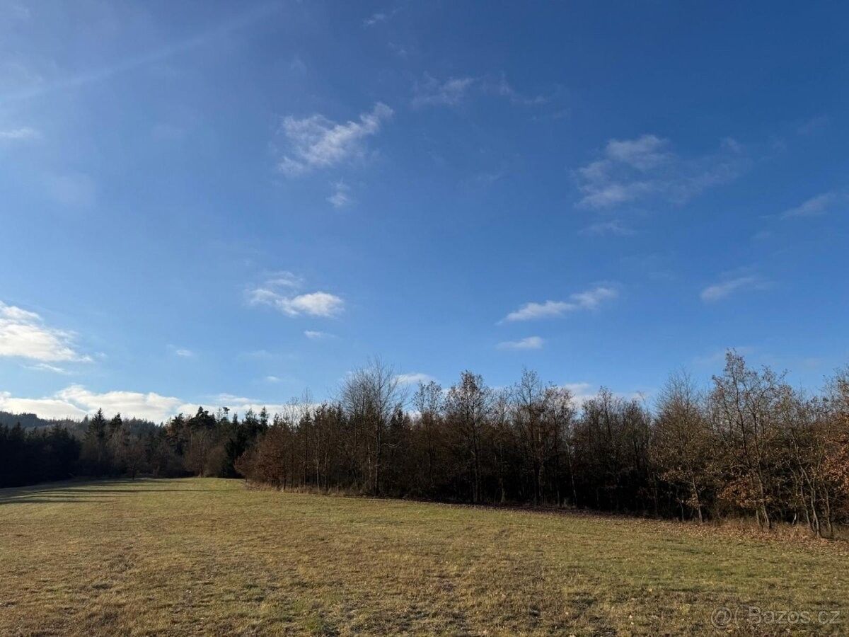 Prodej pozemek pro bydlení - Klatovy, 339 01