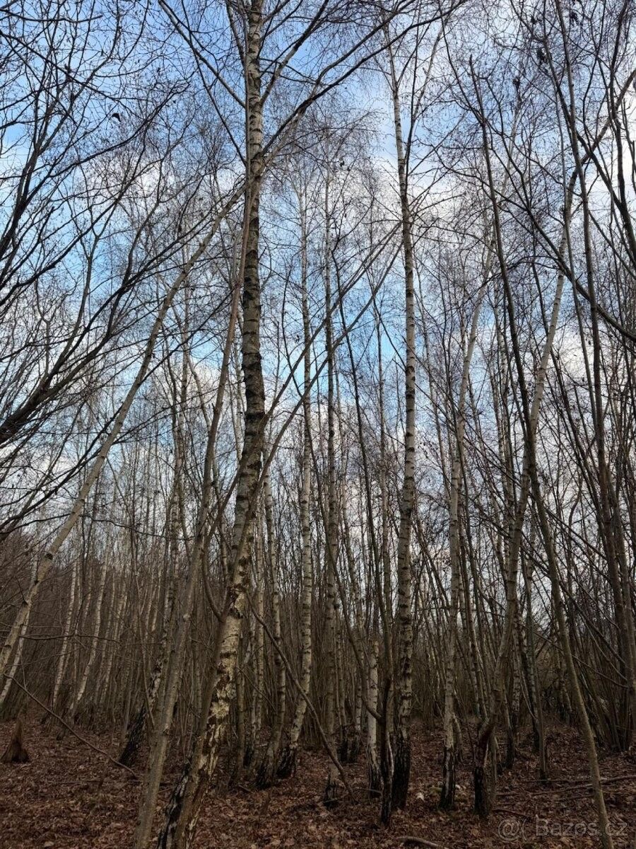 Pozemky pro bydlení, Kolinec, 341 42