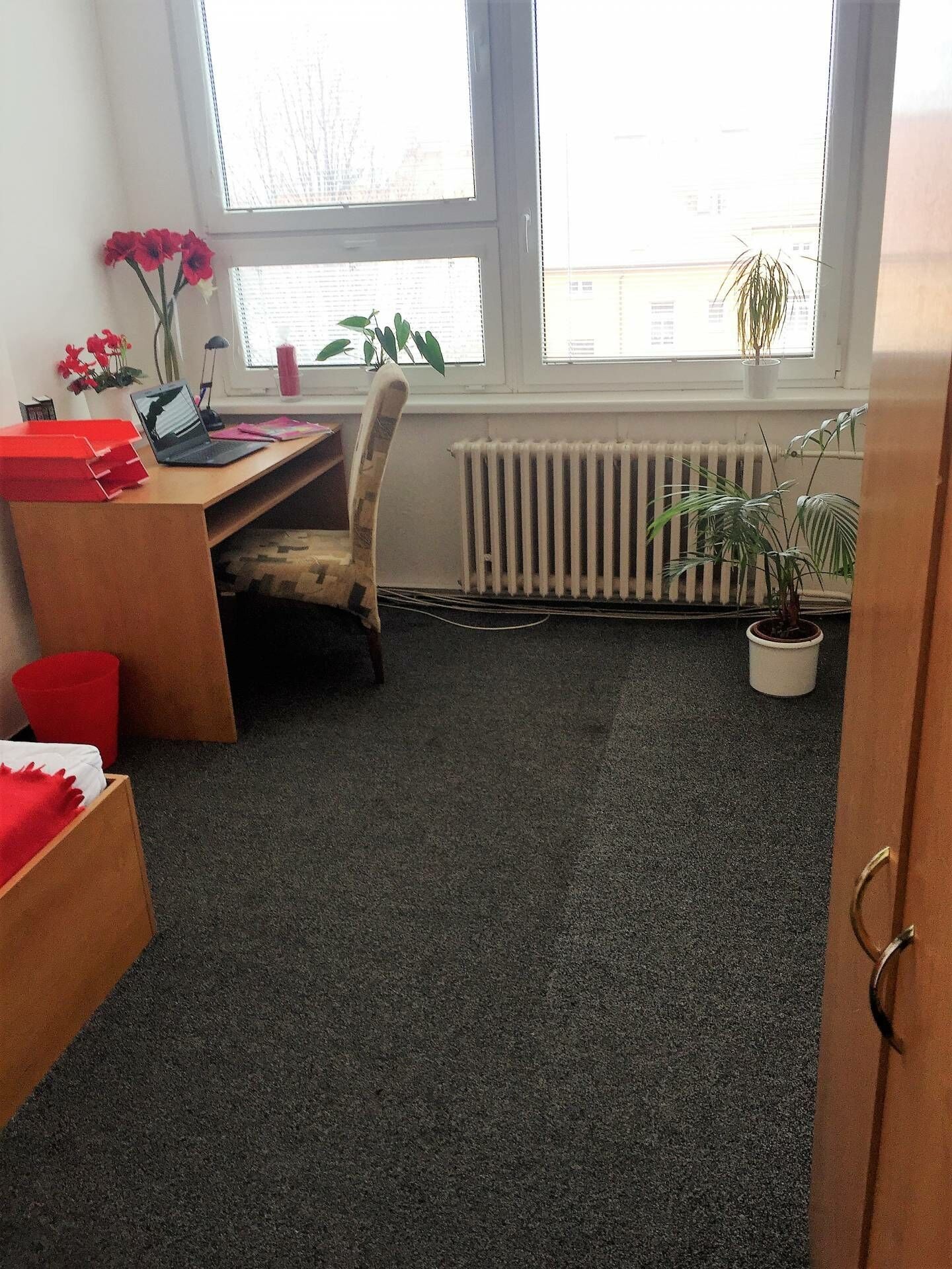 Pronájem byt 1+1 - Žižkova tř.  , České Budějovice 6, 17 m² - 5