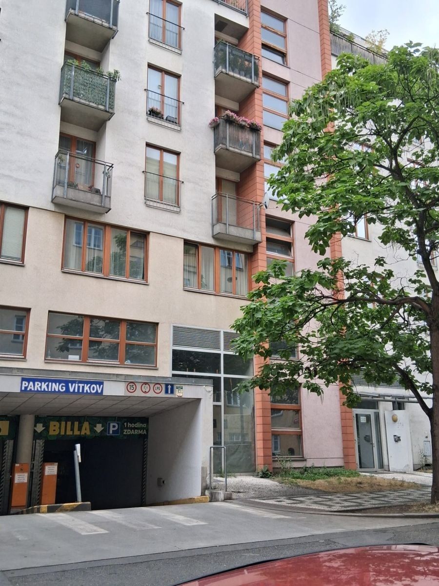 1+kk, Lukášova, Praha - Žižkov, 37 m² - 1