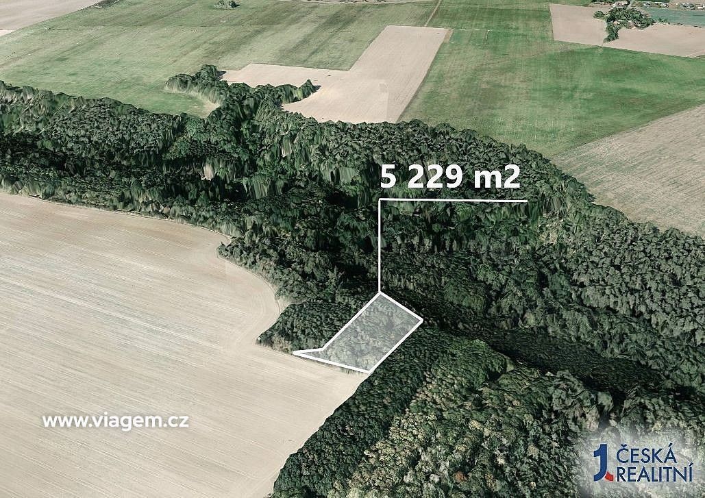 Prodej les - Mělnické Vtelno, okres Mělník, Středočeský kraj - 2
