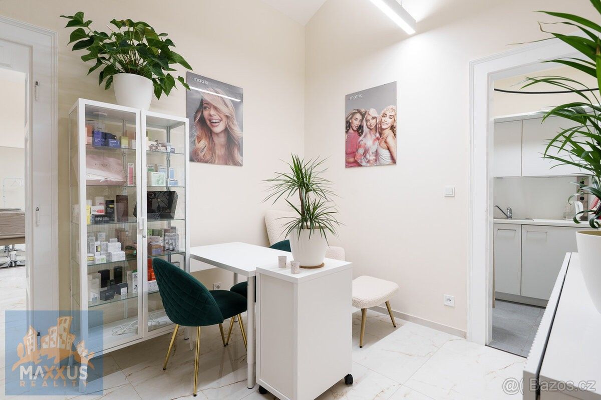 Obchodní prostory, Praha, 110 00