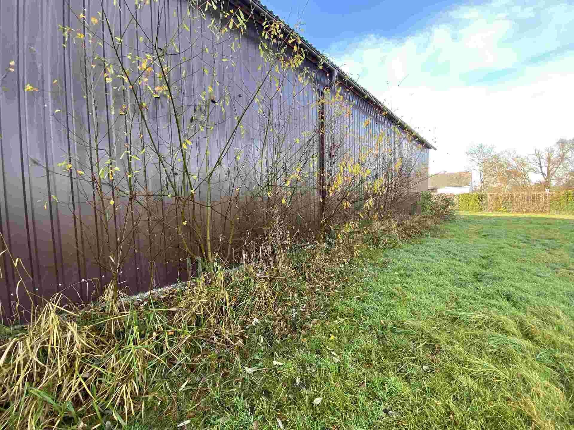 Prodej pozemek pro bydlení - Nové Hrady Štiptoň, 3 703 m² - 5