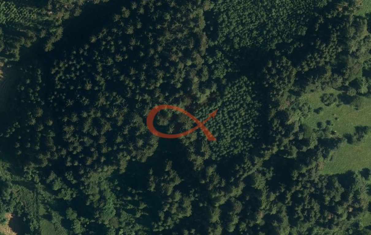 Prodej les - Nový Hrozenkov, 36 m²