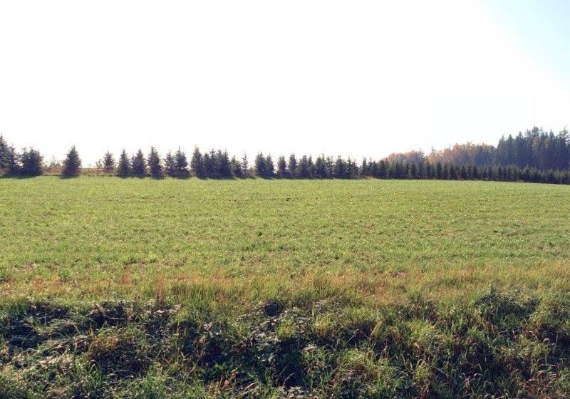 Prodej pozemek pro bydlení - Lučice, 582 35