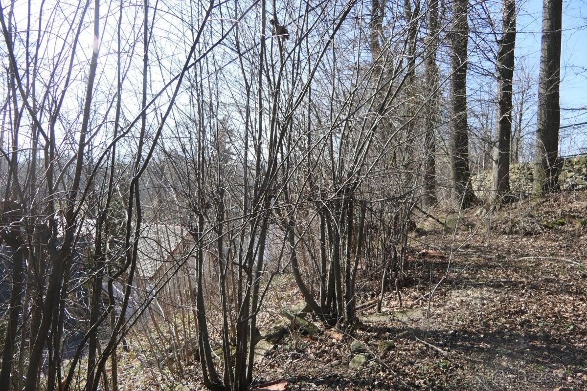 Pozemky pro bydlení, Frýdlant v Čechách, 464 01