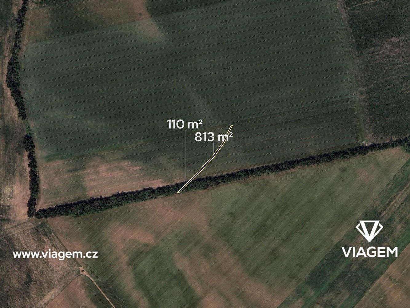 Prodej zemědělský pozemek - Prušánky, okres Hodonín, Jihomoravský kraj - 2