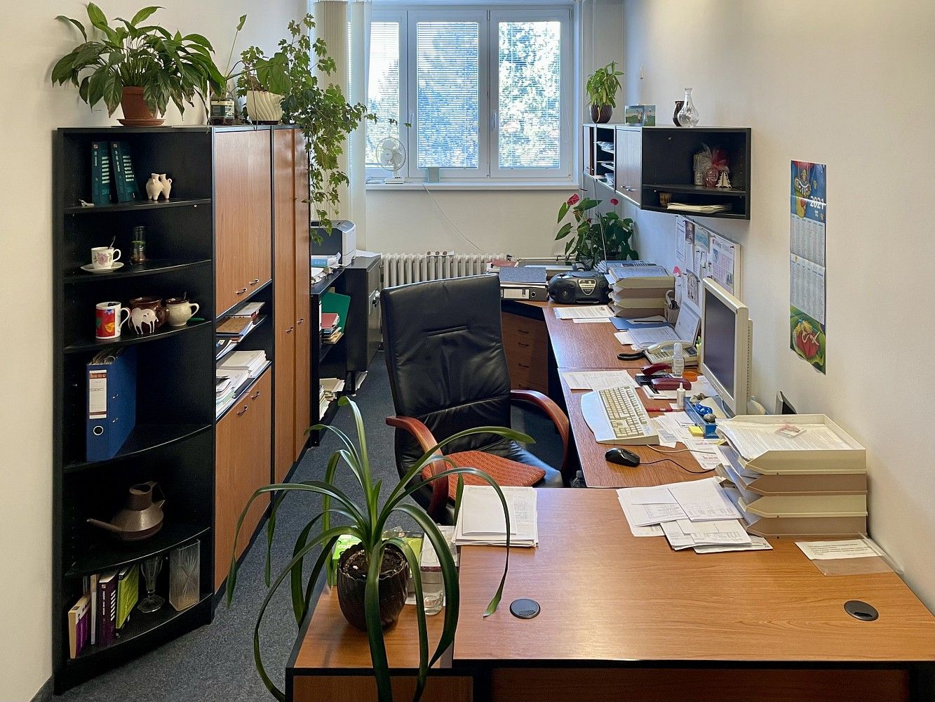 Kancelář · 61 m² · Chotěboř, okres Havlíčkův Brod, Kraj Vysočina - 4