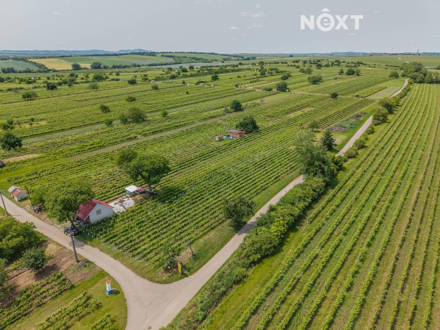 Prodej pozemek - Prušánky - 5