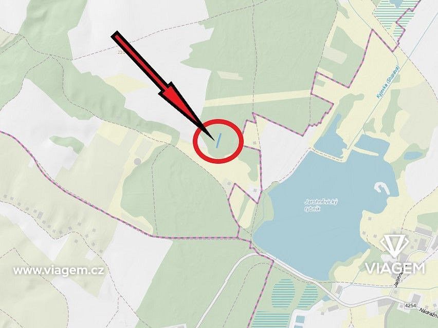 Les · Hovorany, okres Hodonín, Jihomoravský kraj - 4