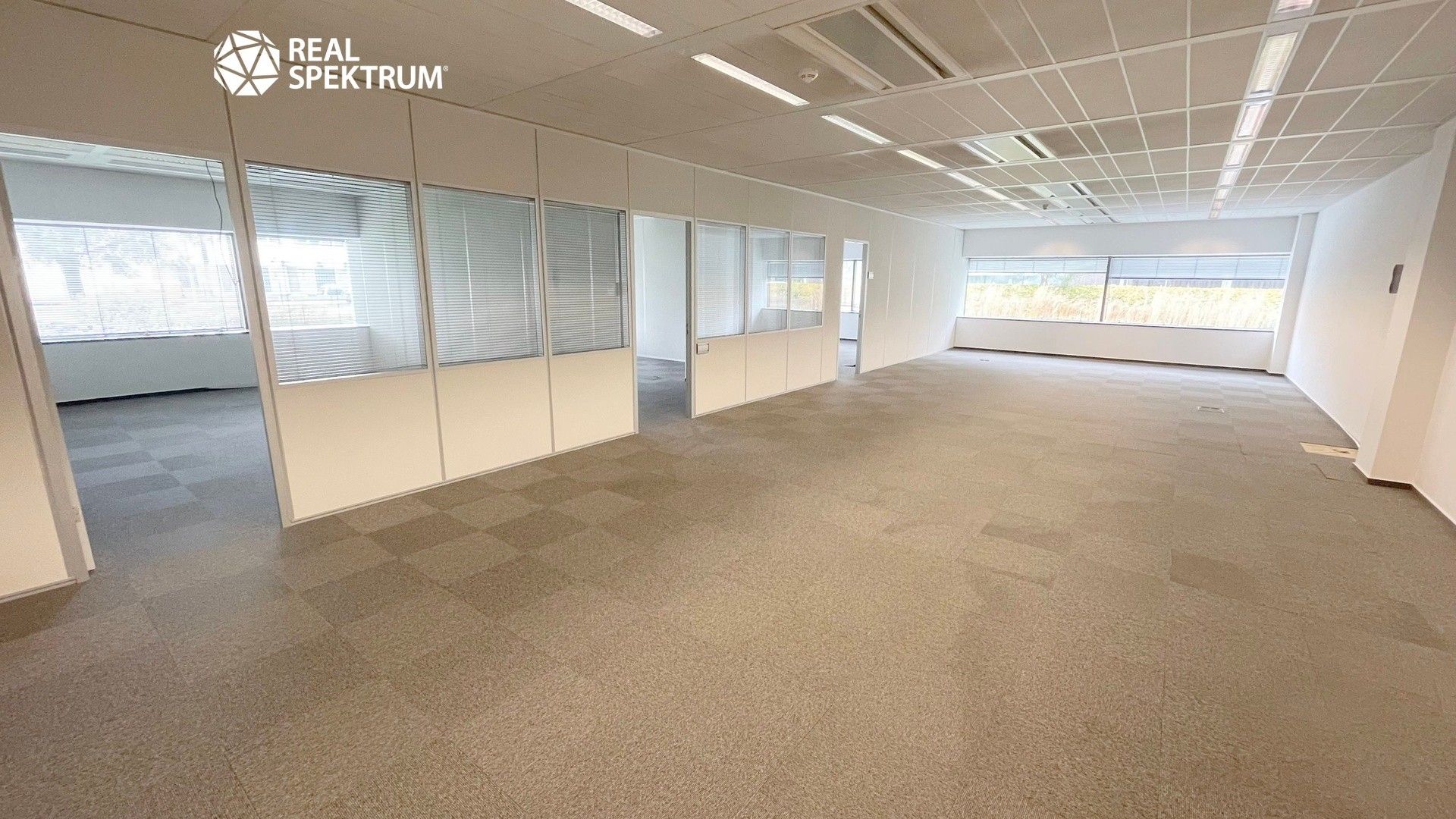 Pronájem kancelář - Holandská, Brno, 240 m²