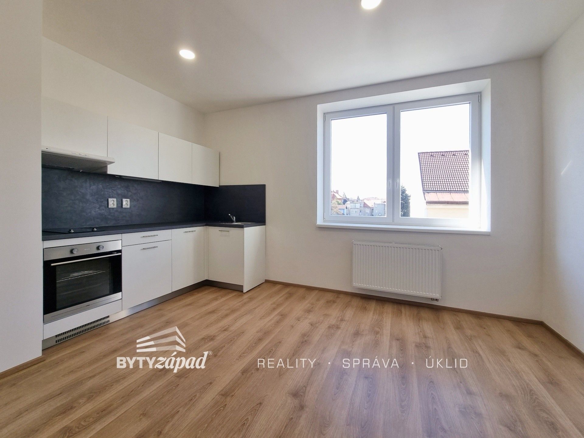 1+kk, Zikmunda Wintra 2463, Plzeň Jižní Předměstí, 31 m²