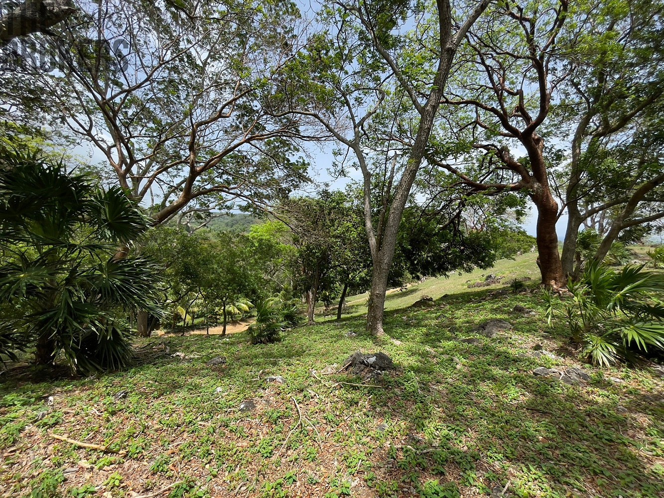 Pozemek pro bydlení · Coxen Hole, Roatán, Honduras - 3