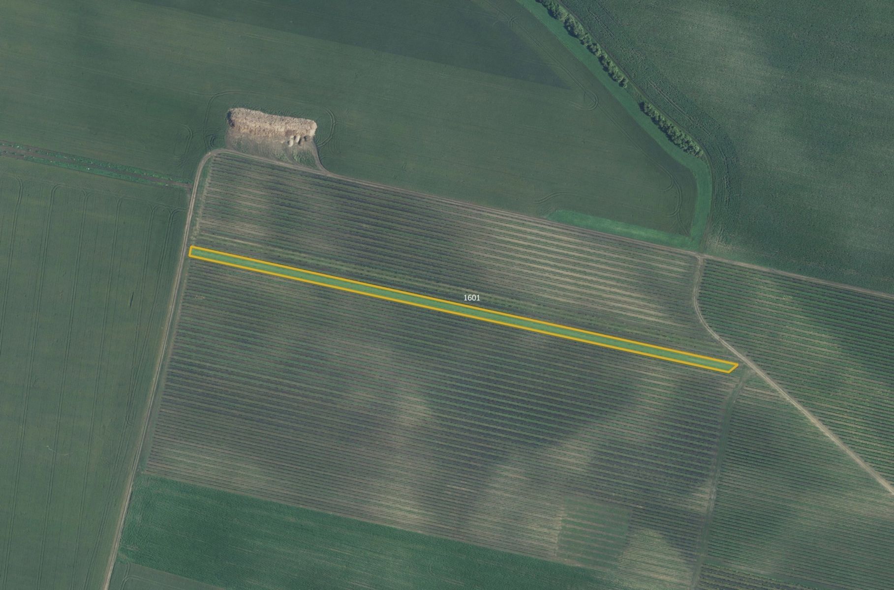 Prodej pozemek - Terezín