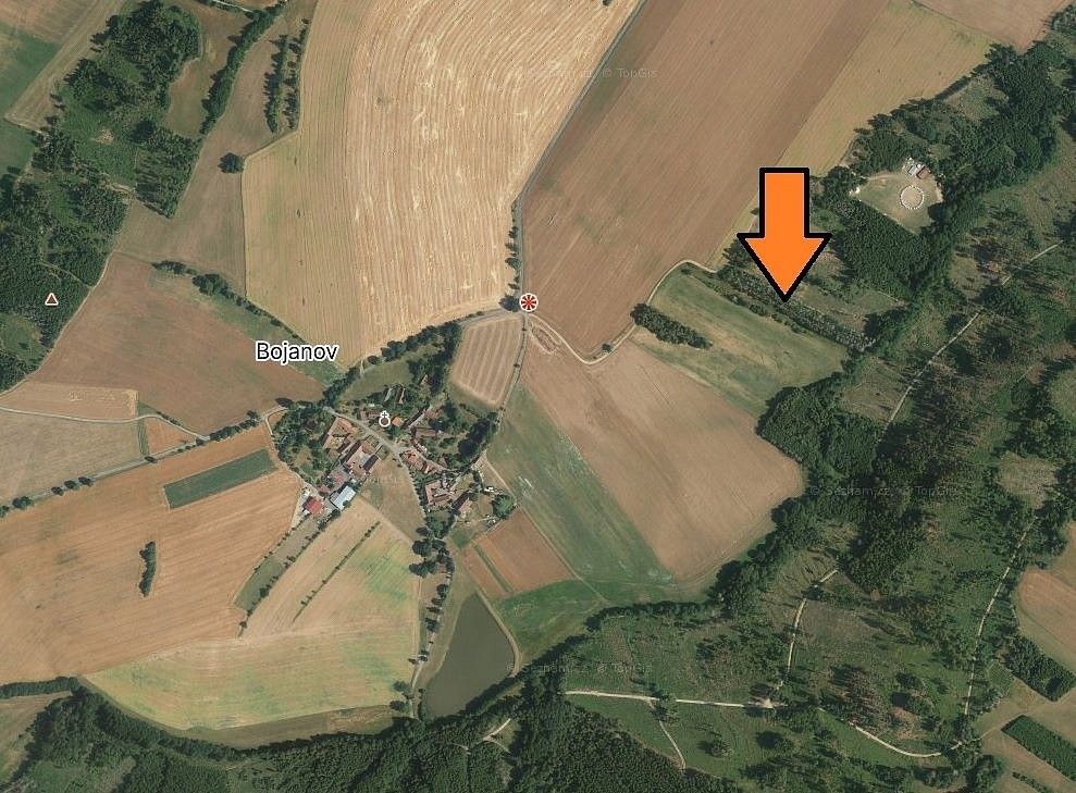 Les · Křižanov - Bojanov, okres Žďár nad Sázavou, Kraj Vysočina - 4