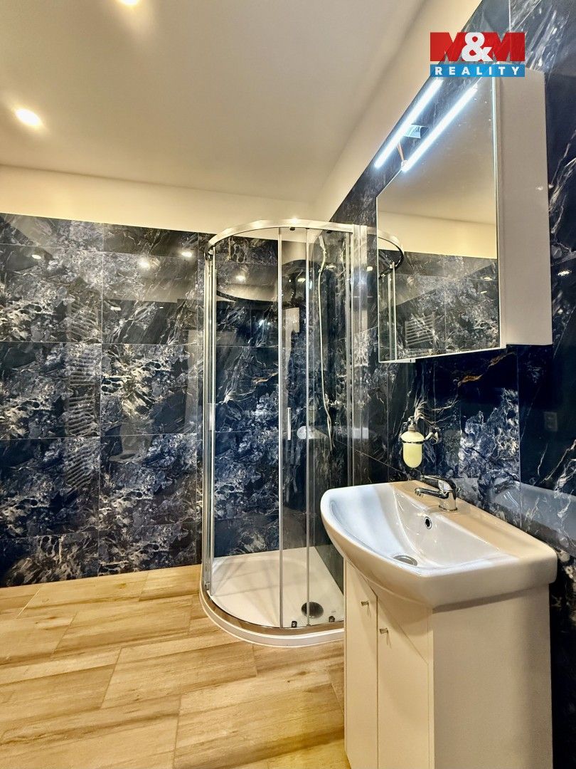 1+1 Apartment in Světlá nad Sázavou, Dolní Bohušice - View 5