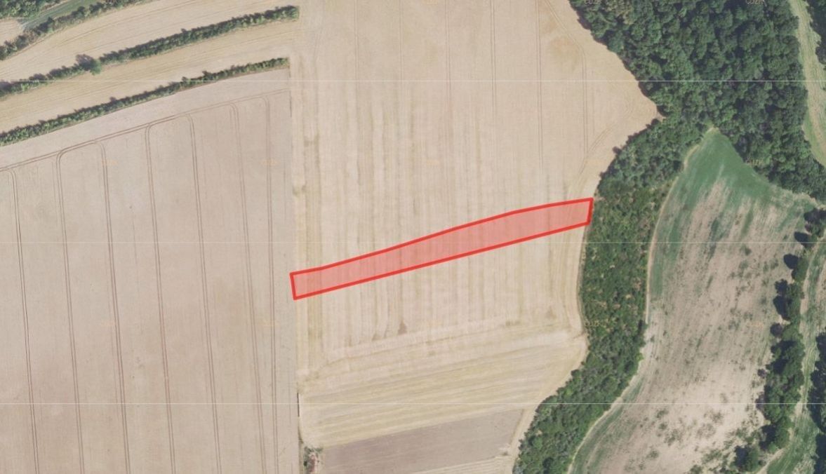 Zemědělské pozemky, Blevice