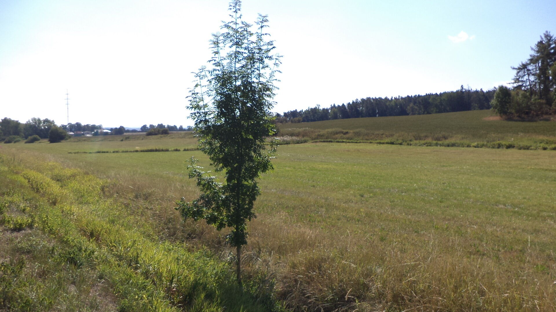 Zemědělský pozemek · 2 383 m² · Srby - 3