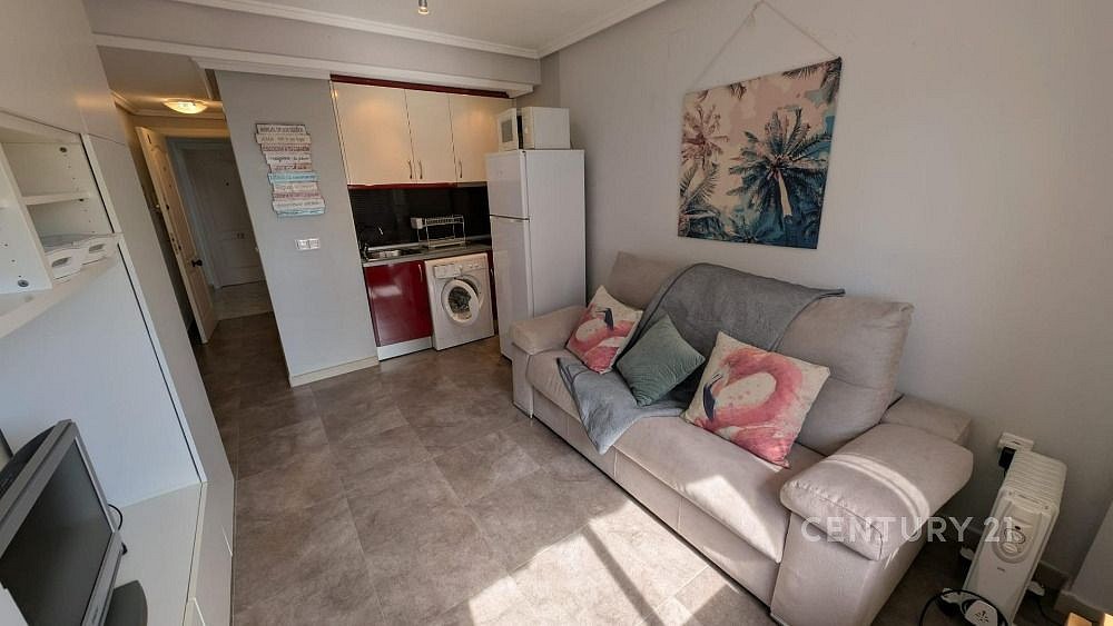 Byt 1+kk · 30 m² · Torrevieja, Alicante, Španělsko - 3
