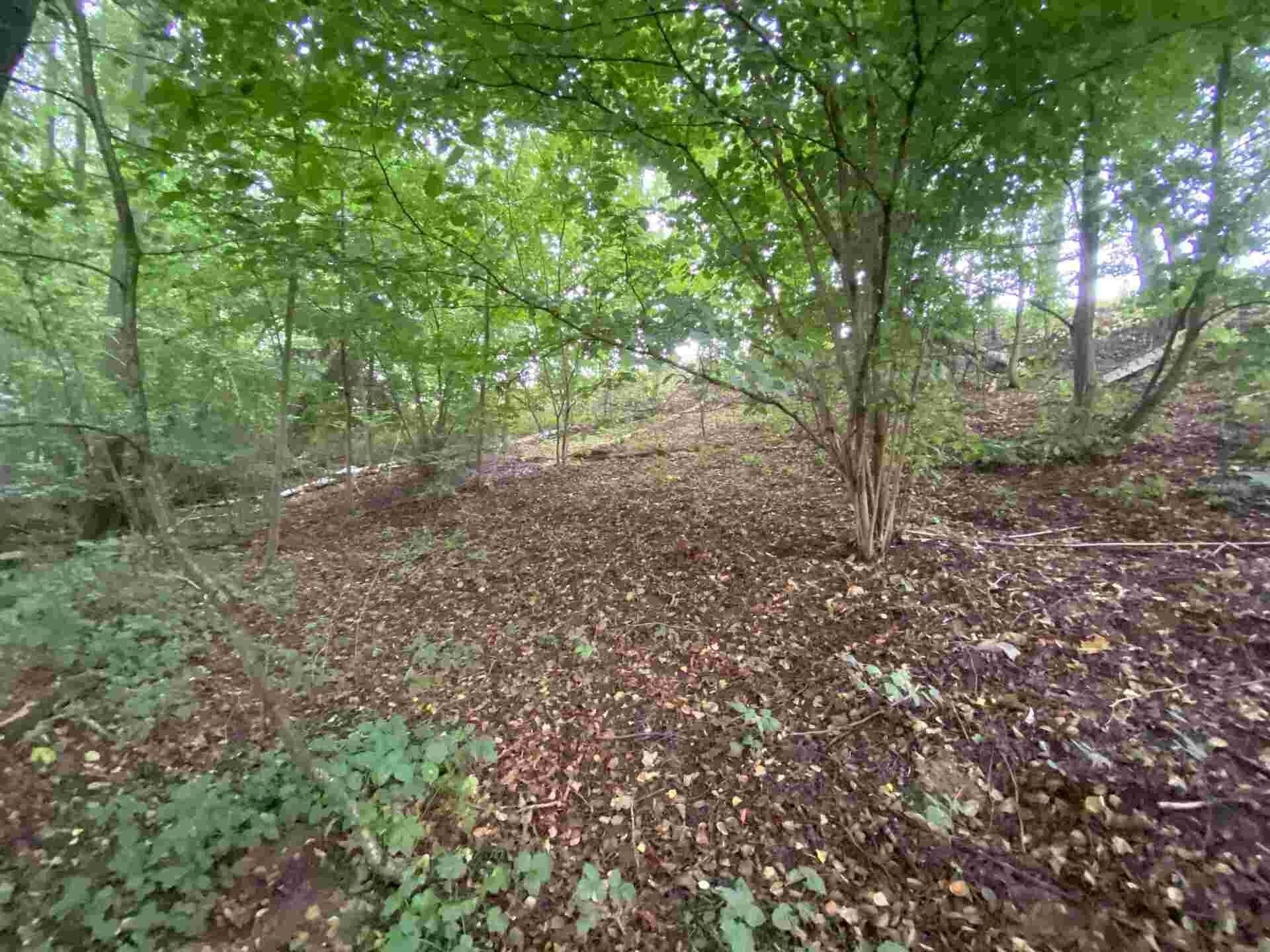 Prodej pozemek - Helvíkovice, 1 m²