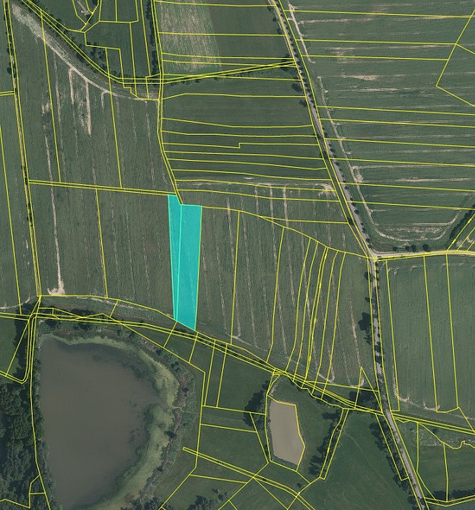 Prodej zemědělský pozemek - Tučapy, okres Tábor - 5