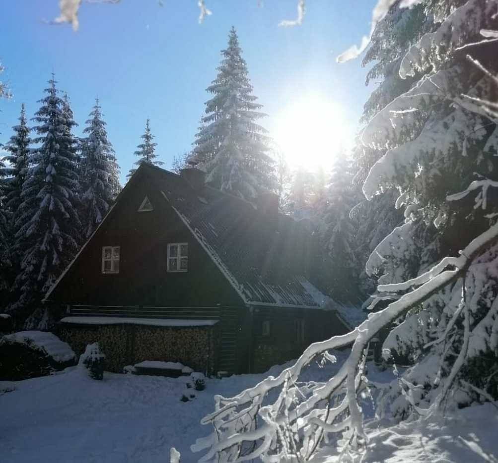 Chata · Srní - Vchynice-Tetov I, Plzeňský kraj - 3