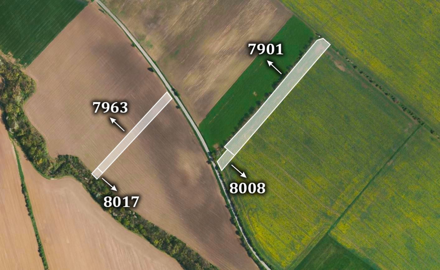Zemědělské pozemky, Javorník, 24 369 m²